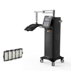 Rimozione facciale della grinza della macchina di terapia della luce di PDT LED per il salone di bellezza