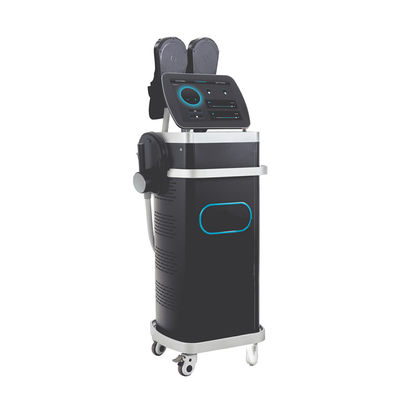 Prezzo della macchina Ems Macchine per la scultura del corpo muscolare / RF Macchine per la scultura del corpo elettromagnetico Ems